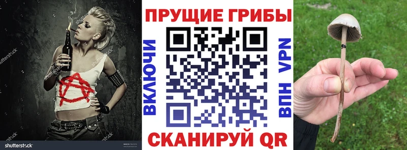 дарк нет состав  купить наркотики сайты  Бирюч  Псилоцибиновые грибы прущие грибы 